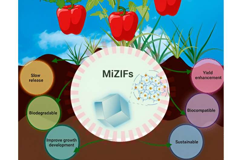研究人员制定控制微量营养素递送以促进植物生长