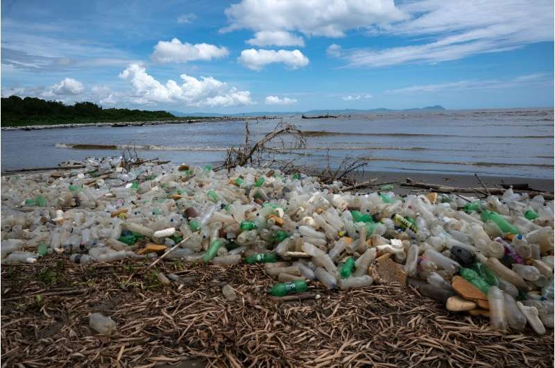 The preponderance of larger floating pieces suggests that the total amount of plastic in the ocean is "much lower" tha