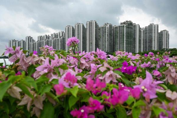 Iskandar Investment: Forest City’s special financial zone status to boost foreign investments, stimulate economic growth in Iskandar Malaysia