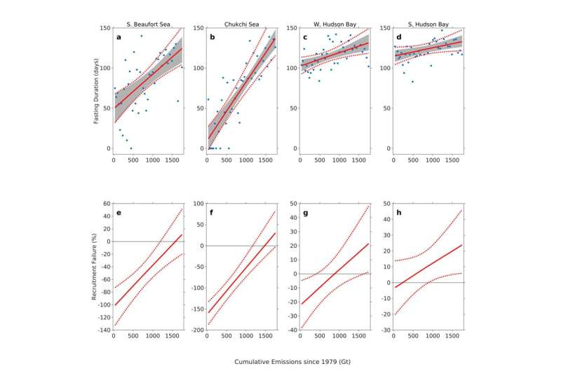 Study connects greenhouse gas emissions to polar bear population declines, enabling greater protections under Endangered Species