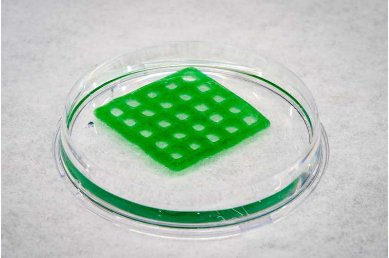 3D-printed 'living material' could clean up contaminated water