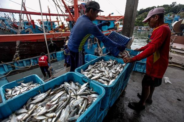 Fisheries Development Authority assures sufficient fish supply in Malaysia during NE monsoon season